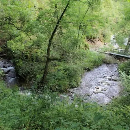 Forestside Holiday home *